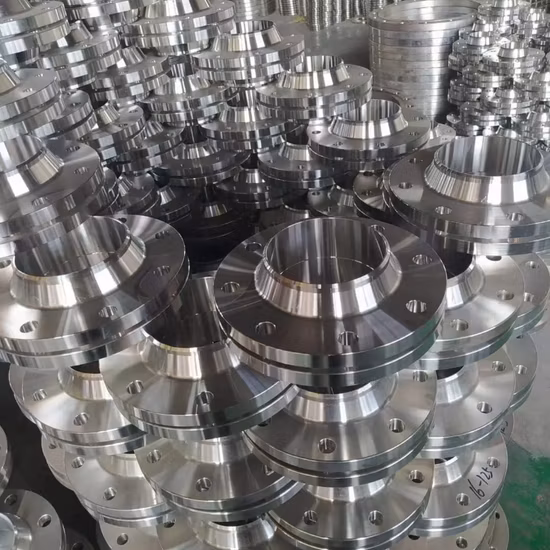 Forged Carbon Stainless Steel Sch40 Std DIN/BS/Js/GOST Thread RF FF Pipe Flanges